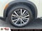 2024 INFINITI QX60 Autograph